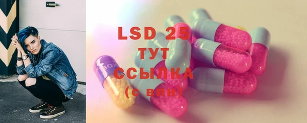 apvp Ельня