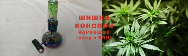 apvp Ельня