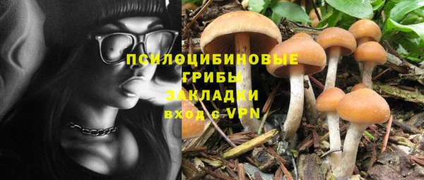 apvp Ельня