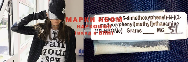 apvp Ельня
