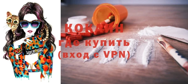 apvp Ельня