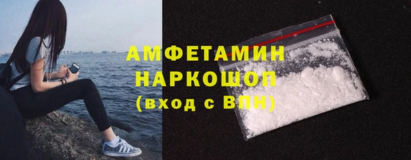 apvp Ельня