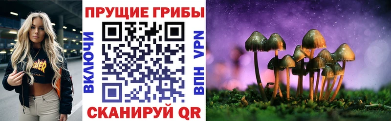 Галлюциногенные грибы Psilocybine cubensis  Купить где  Карасук 